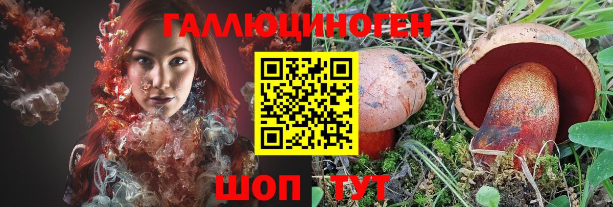 Галлюциногенные грибы Psilocybe  Вход с VPN  Орехово-Зуево 