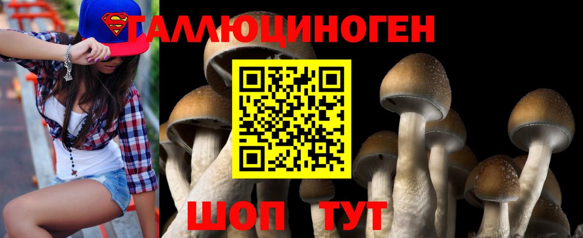 Галлюциногенные грибы Cubensis Орехово-Зуево