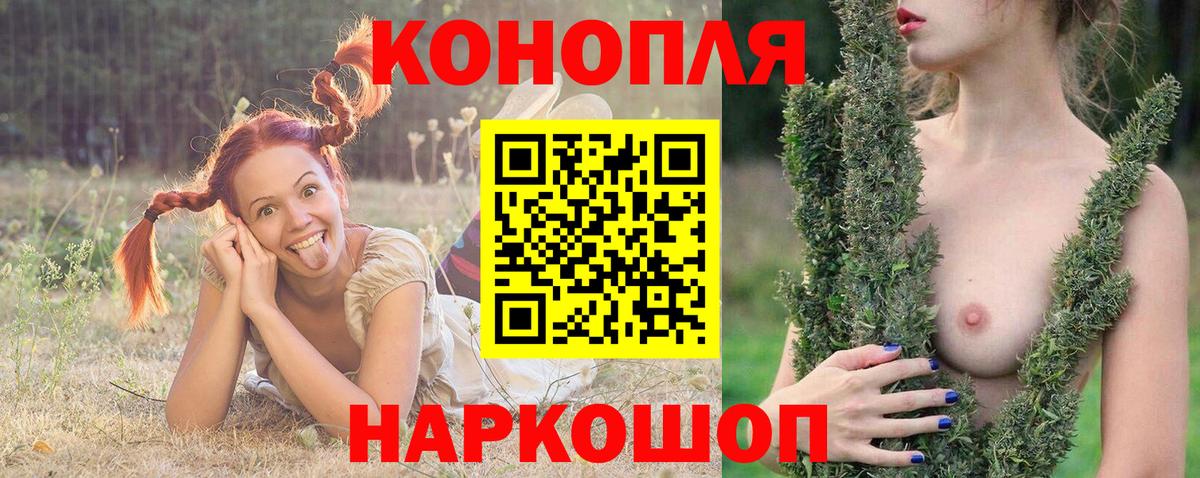 Бошки Шишки гибрид  Вход с VPN  Орехово-Зуево  Бошки Шишки сатива 